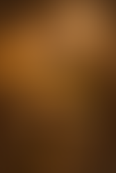 King porgestrone in the royal hormone kingdom