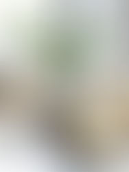 Do You Really Need Every Single Treatment (And Ingredient)?