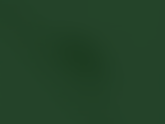 Dengue: como prevenir e tratar de forma natural