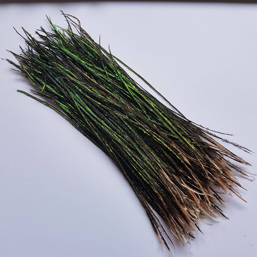 Thumbnail: Natural Peacock Herl
