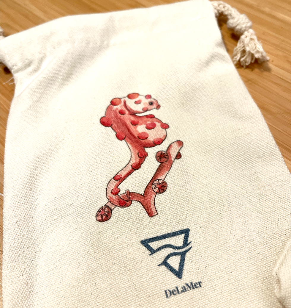 Thumbnail: Tiny Tote Bag - Pigmy