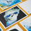 Thumbnail: 6 Postcard Set - Diver Wonder