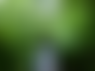 Smart Commute: Learn to Love Sustainable Travel