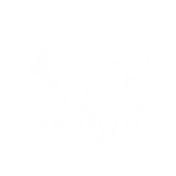 highiq_1 logo white.png