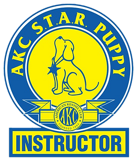 STAR Instructor logo done.png