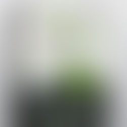 Identidade de linhas de Produtos