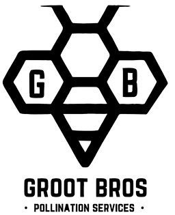 Groot Bros logo 2025_edited.png