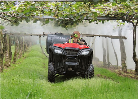 Groot Bros helping the bees ☀️🌱🐝