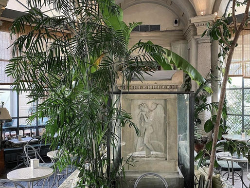 Paksisters at Millan