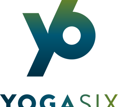 Y6_Logo_Secondary_Color_RGB (1)_edited.p