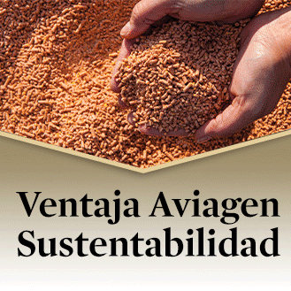 2023-0227-Aviagen-Advantage-GIF-SUSTAINABILITY-Span_329x329.gif