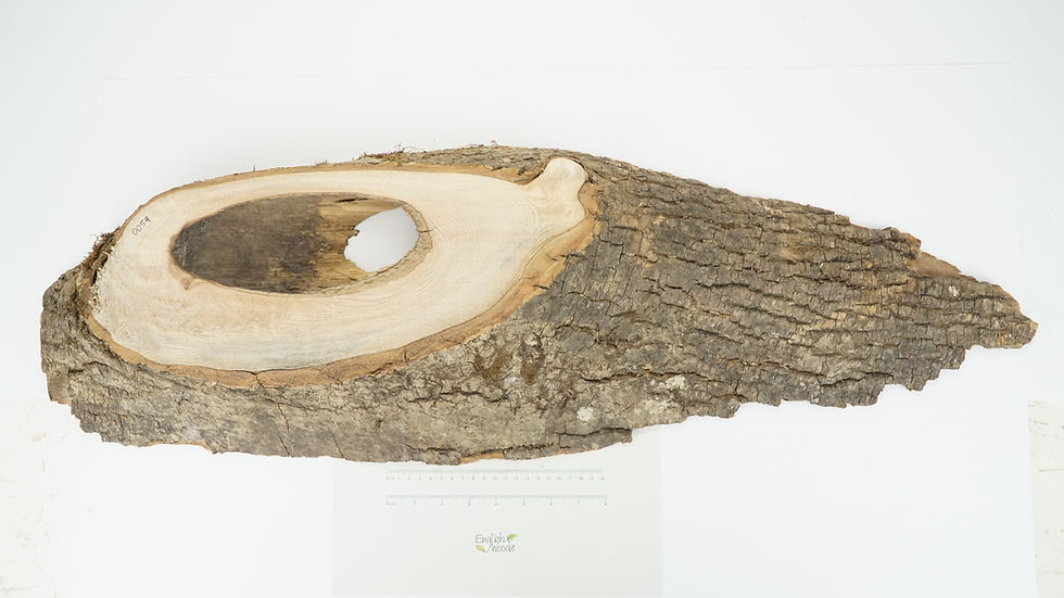 Thumbnail: Ripple Ash Board
