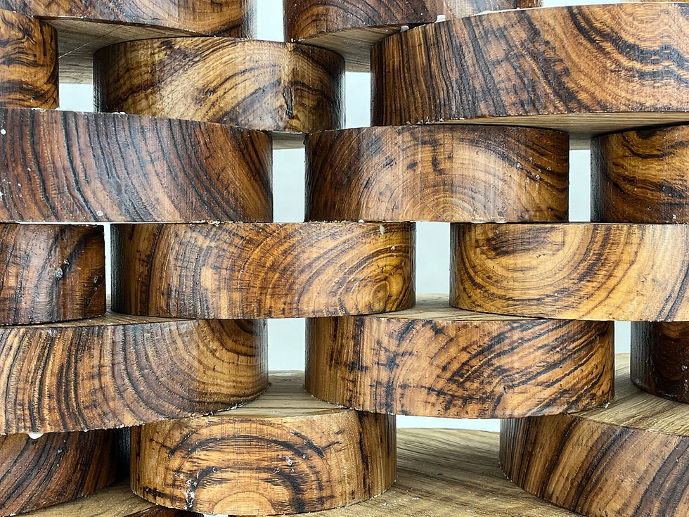 Thumbnail: spalted sweet chestnut wood turning bowl blanks