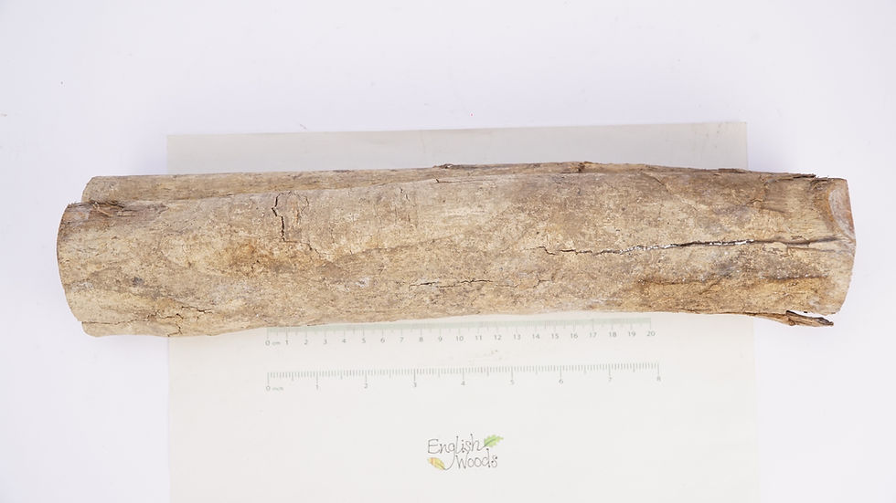 Thumbnail: African Blackwood Log Blank