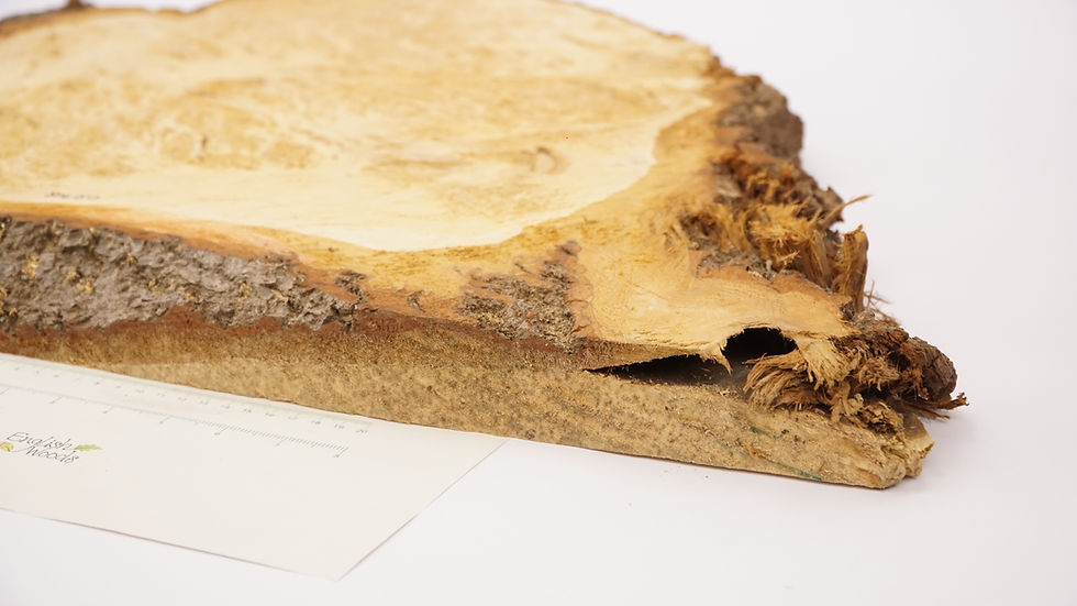 Thumbnail: Full Waney Edge Ripple Burr Lime Board