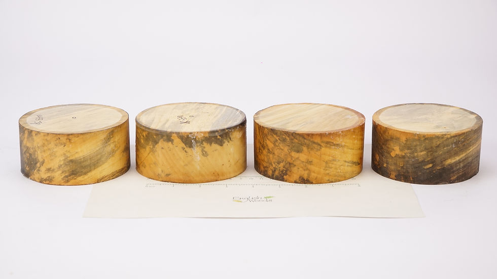 Thumbnail: 4 Coloured Lime Bowl Blanks