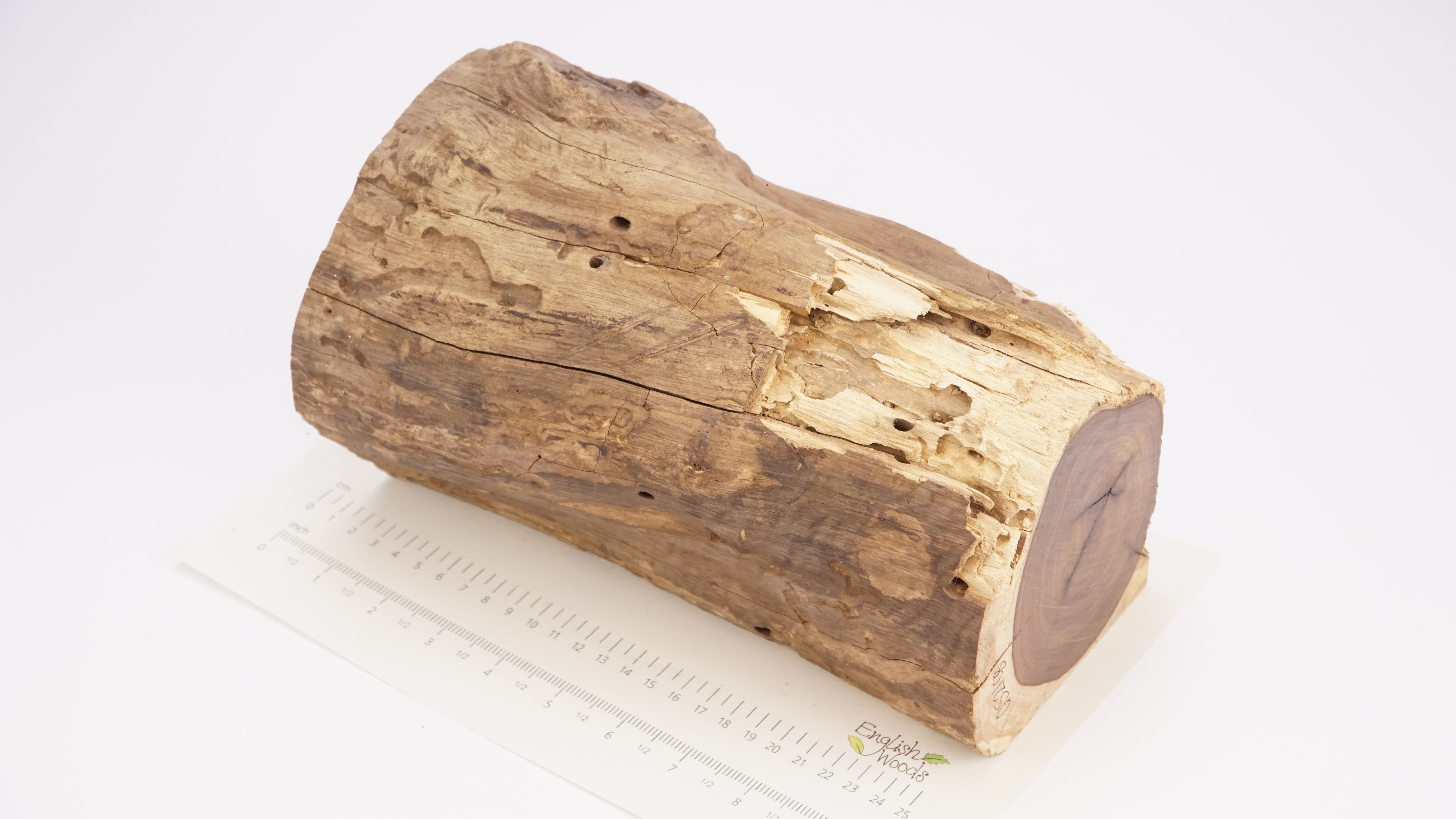 African Blackwood Log/Billet 0521