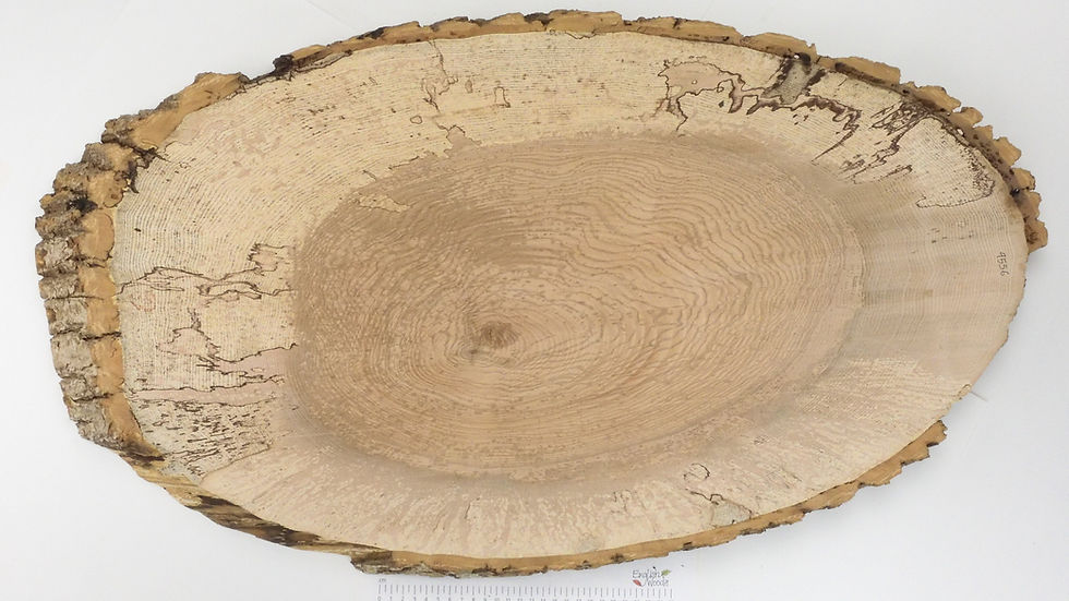 Thumbnail: Spalted Olive Ash Board
