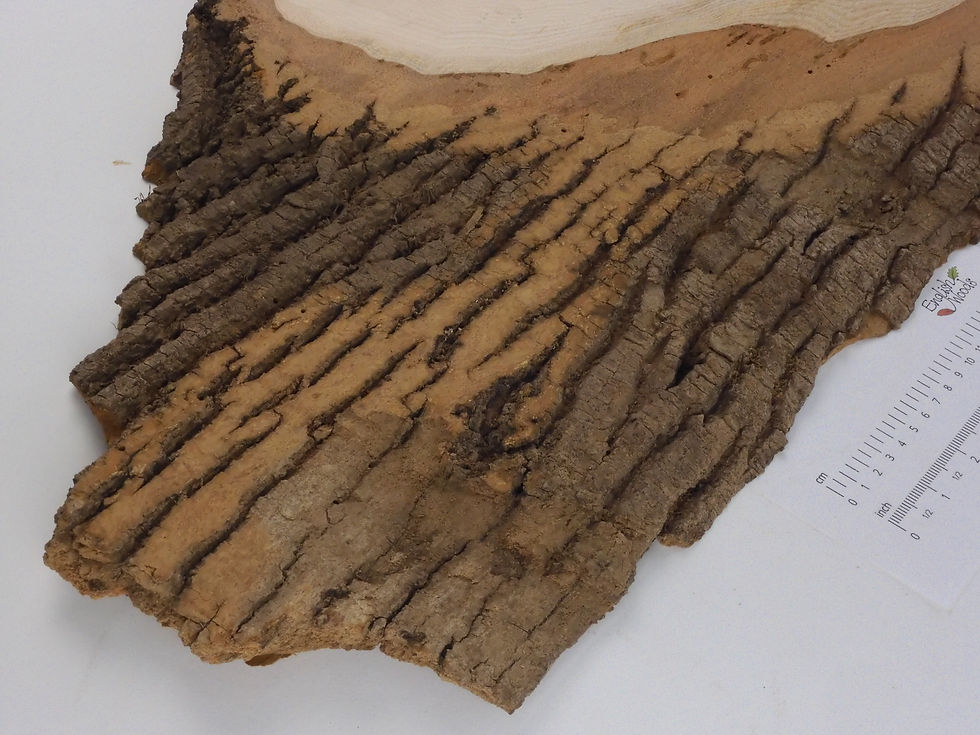 Thumbnail: Waney Edge Ash Board