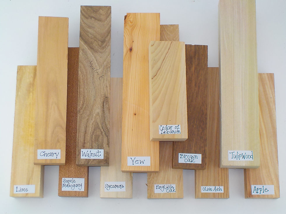 Thumbnail: Spoon Carving Blanks