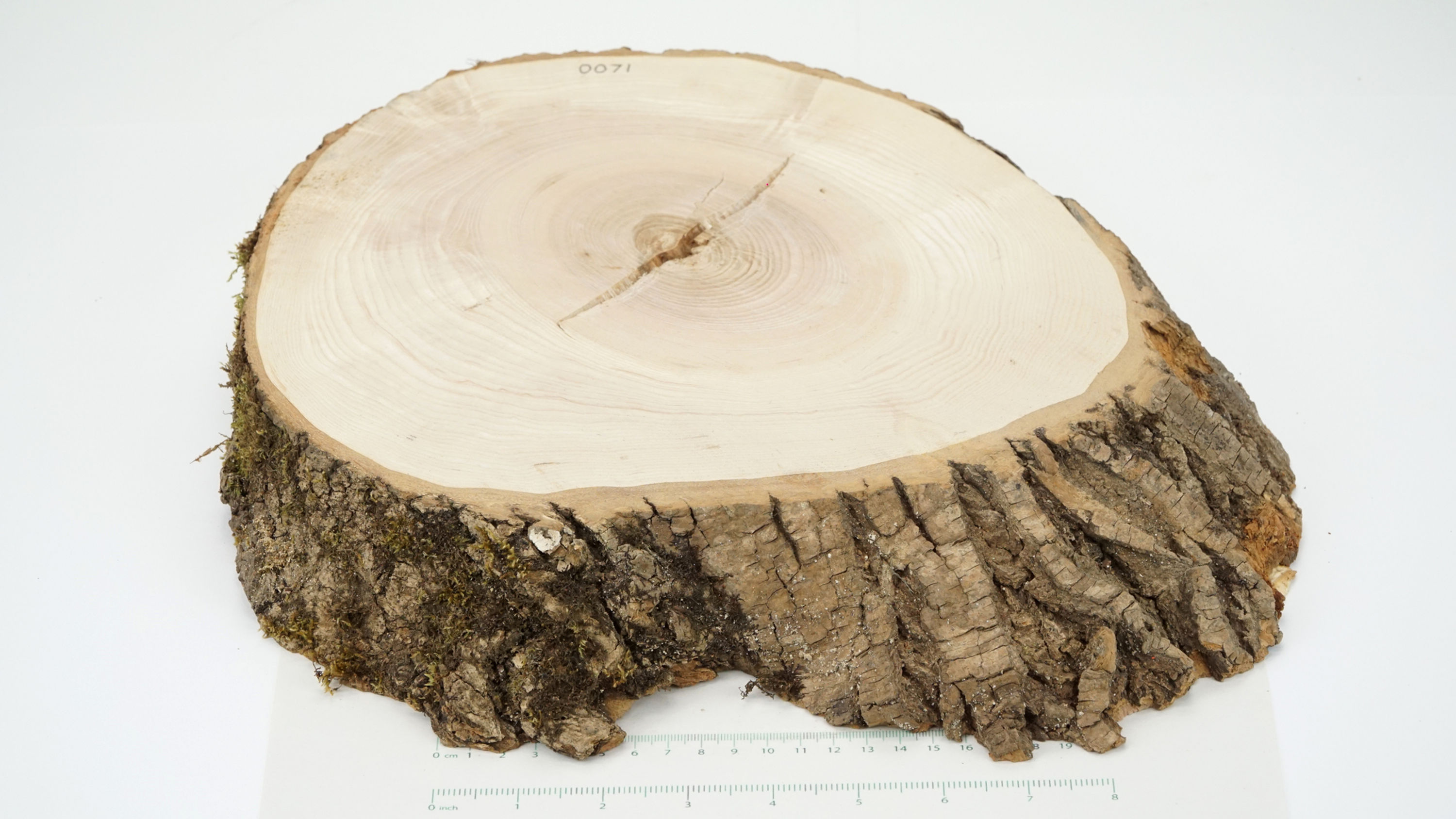 Full Waney Edge Ripple Ash Board