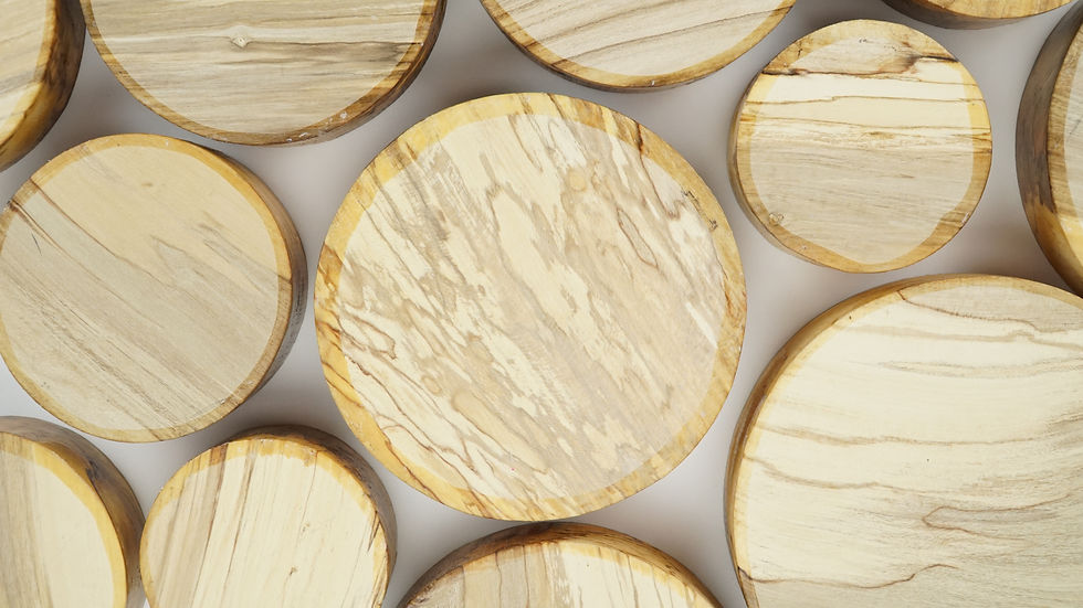 Thumbnail: Spalted and Unspalted Holly Bowl Blanks.  50mm (2") thick