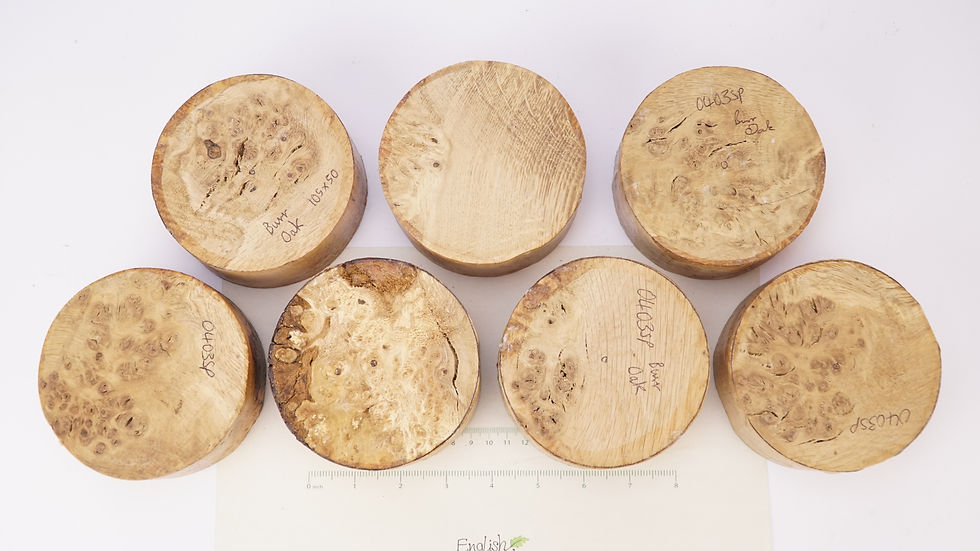 Thumbnail: 7 Burr Oak Bowl Blanks