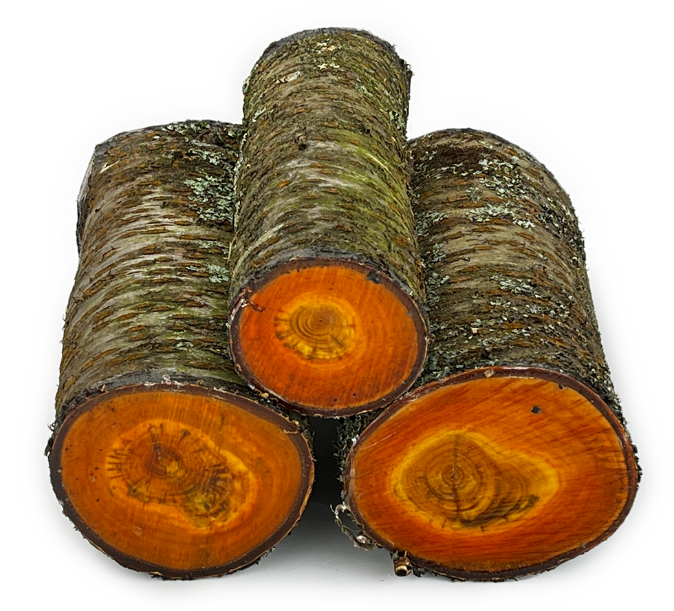Thumbnail: Wild Cherry Woodturning Log Blanks