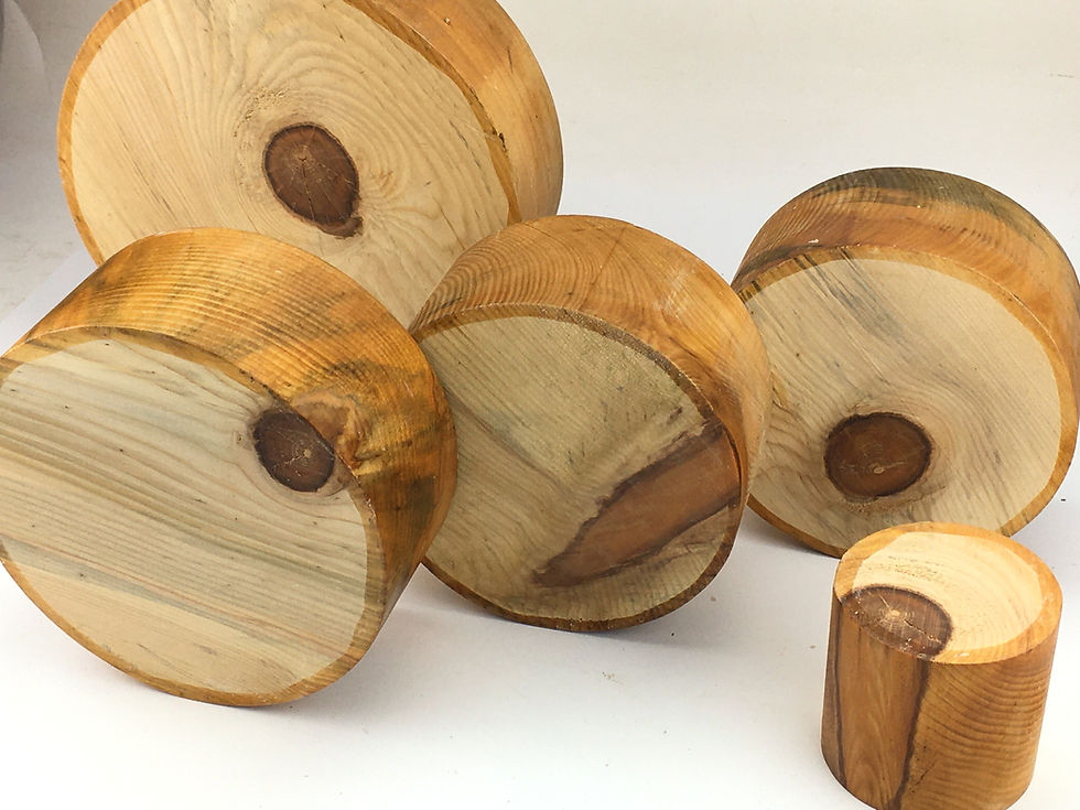 Thumbnail: Monkey Puzzle Bowl Blanks
