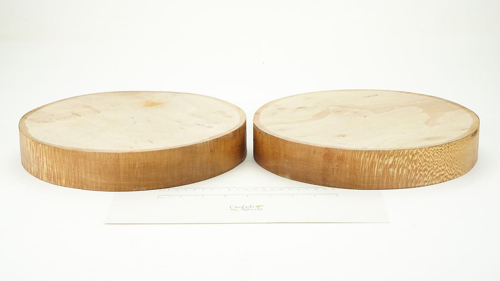 Thumbnail: 2 Pippy Lacewood Bowl Blanks - could be for resin fill