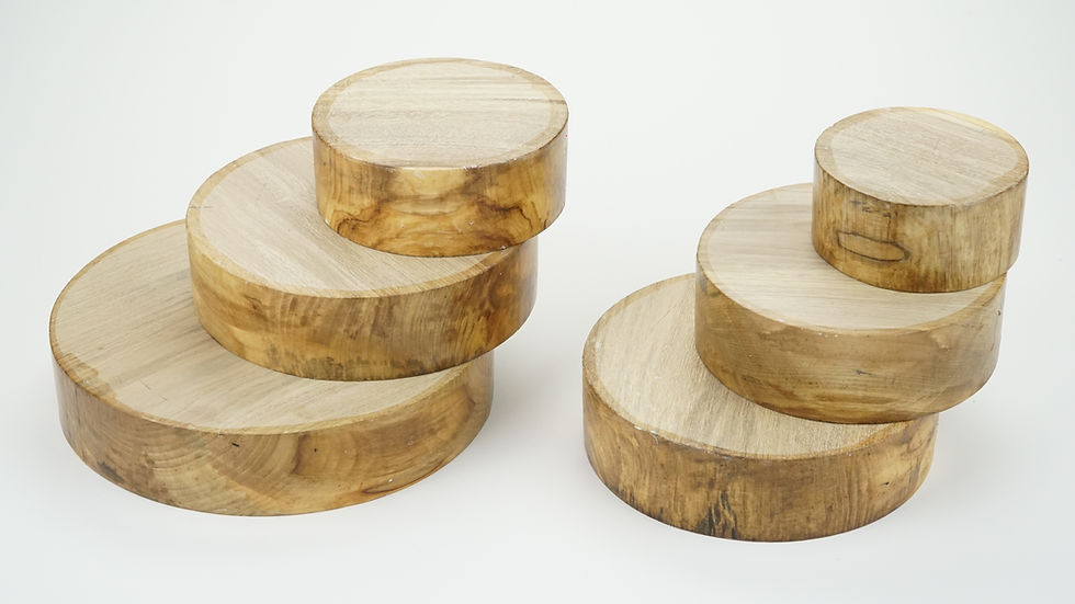 Thumbnail: Spalted and Unspalted Holly Bowl Blanks.  50mm (2") thick