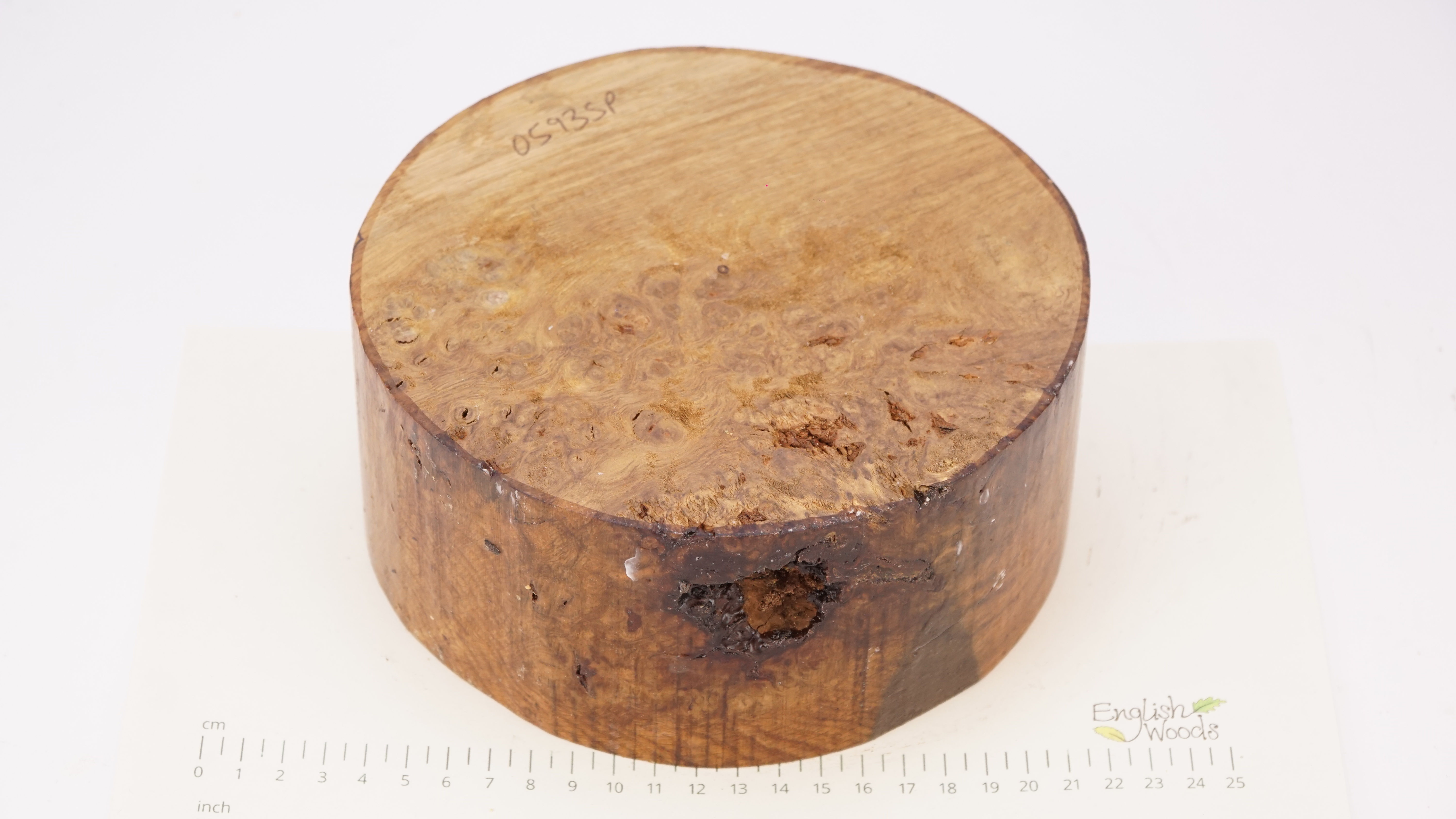 Burr Brown Oak Bowl Blank 0593