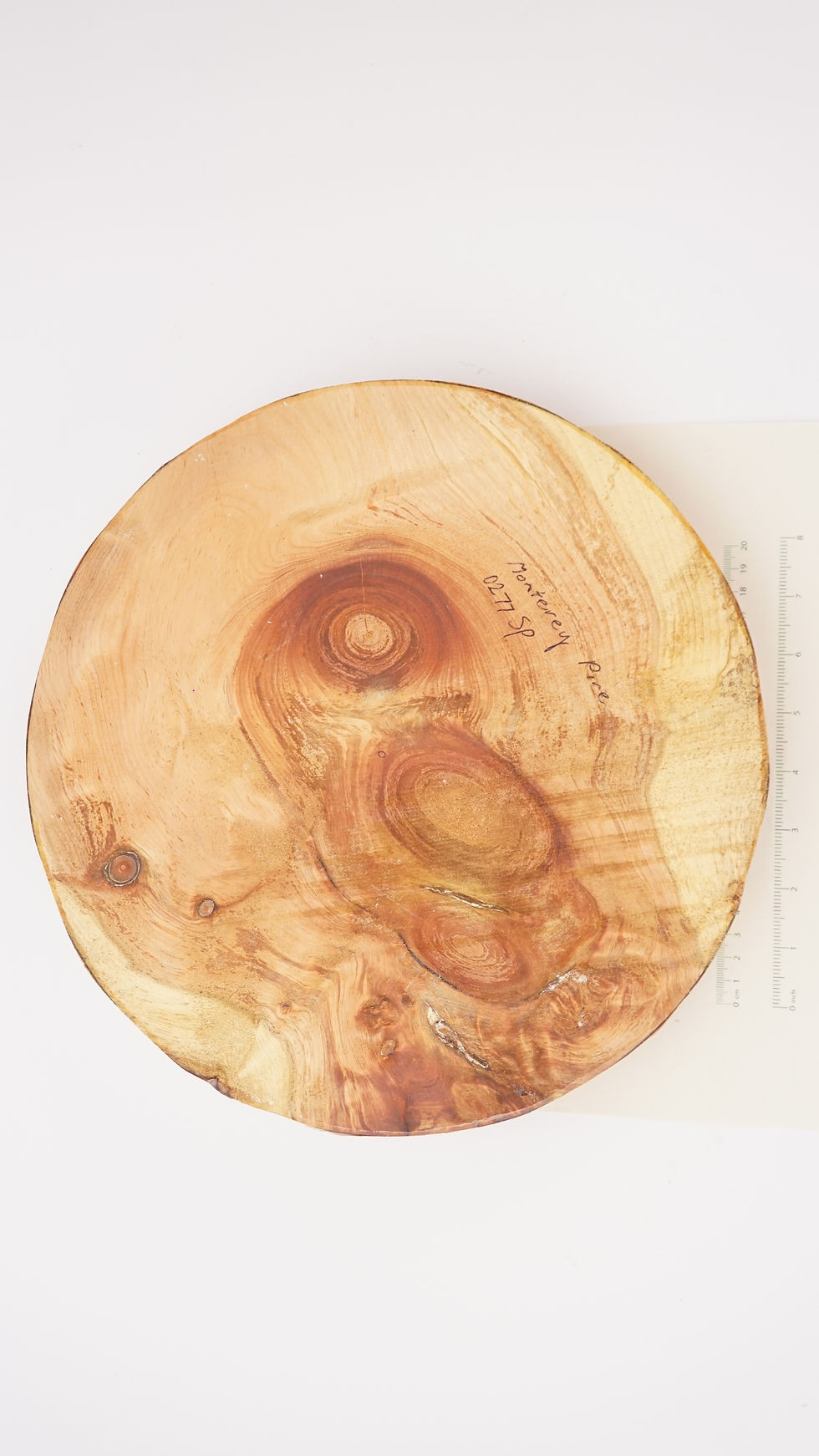 Thumbnail: Monterey Pine Bowl Blank