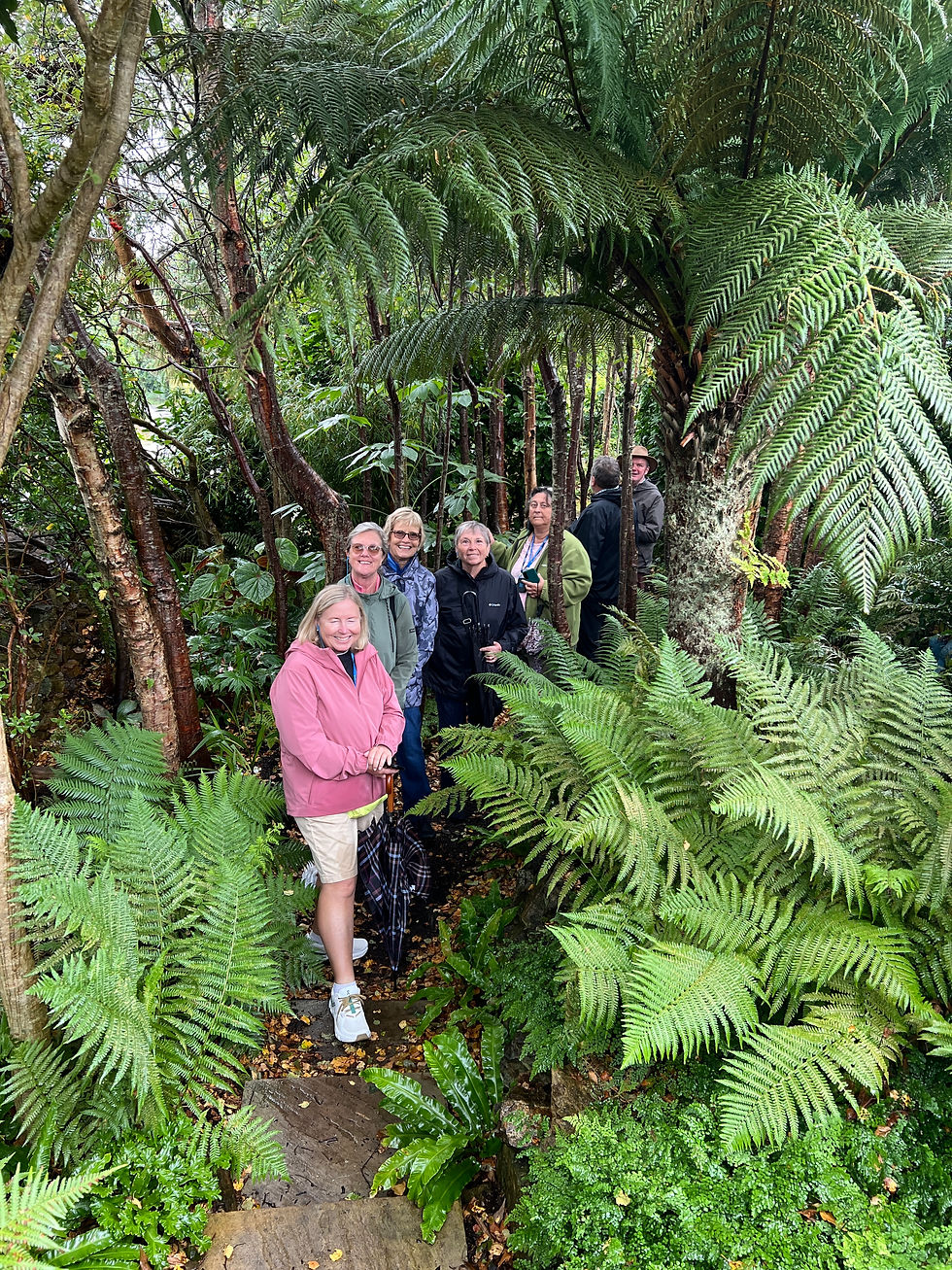 Woodland Garden