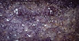 DSCF7652VZ.jpg