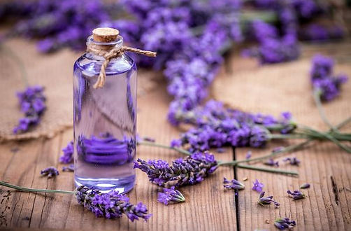 lavender-essential-oil_grande.jpg