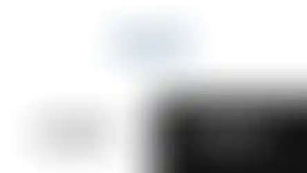 5.webp