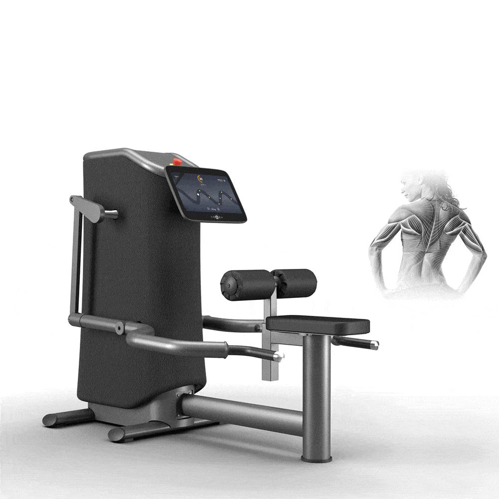 Triceps-press-Armar-Rygg-min.gif