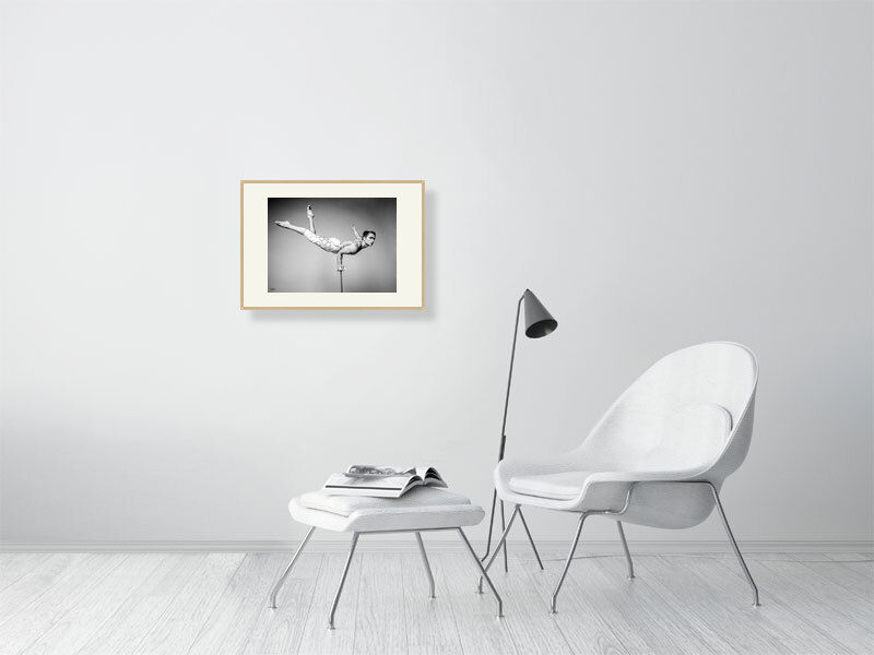 Thumbnail: Stillness in Flight