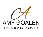 LOGO_AmyG_2025_white_SQuare500px_edited_