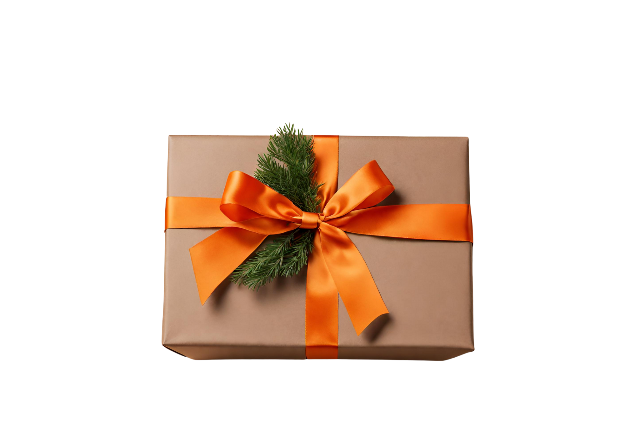 Foodie Fundraiser Holiday Box - No Refrigeration Required