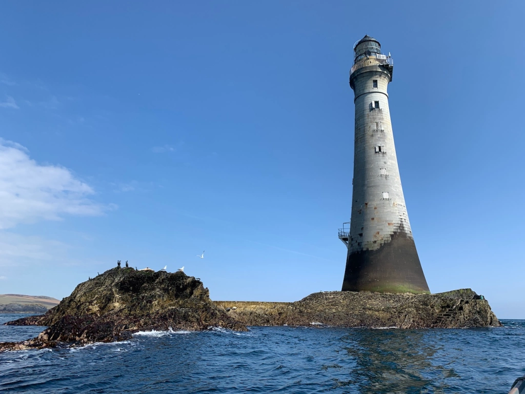 chicken-rock-arrival.webp