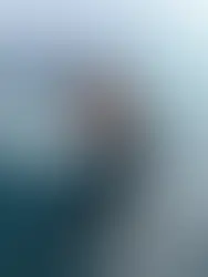 ❗️Retire : Sébastien Marsset (Foussier) retires