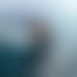 ❗️Retire : Sébastien Marsset (Foussier) retires