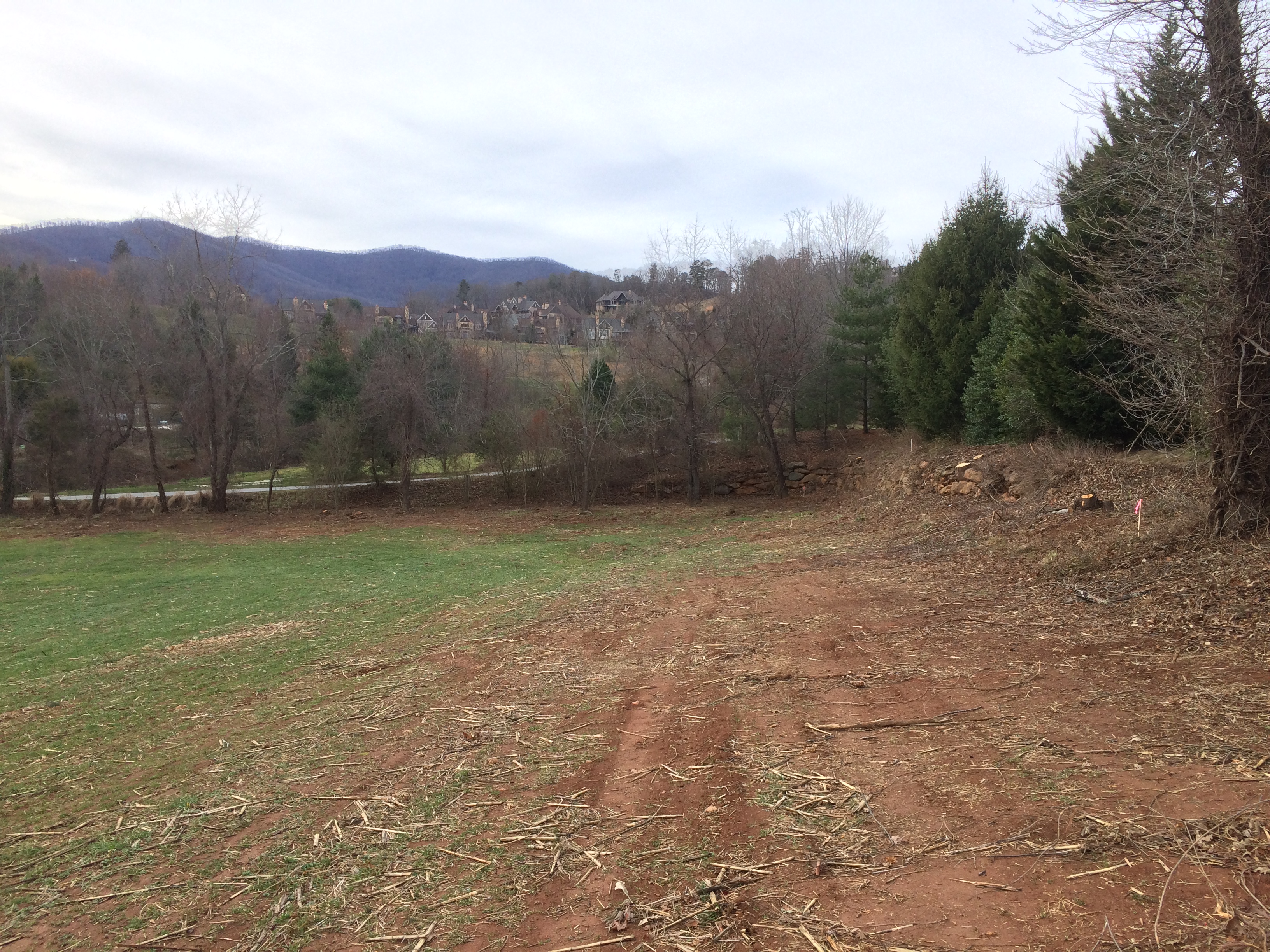Lot 7 west