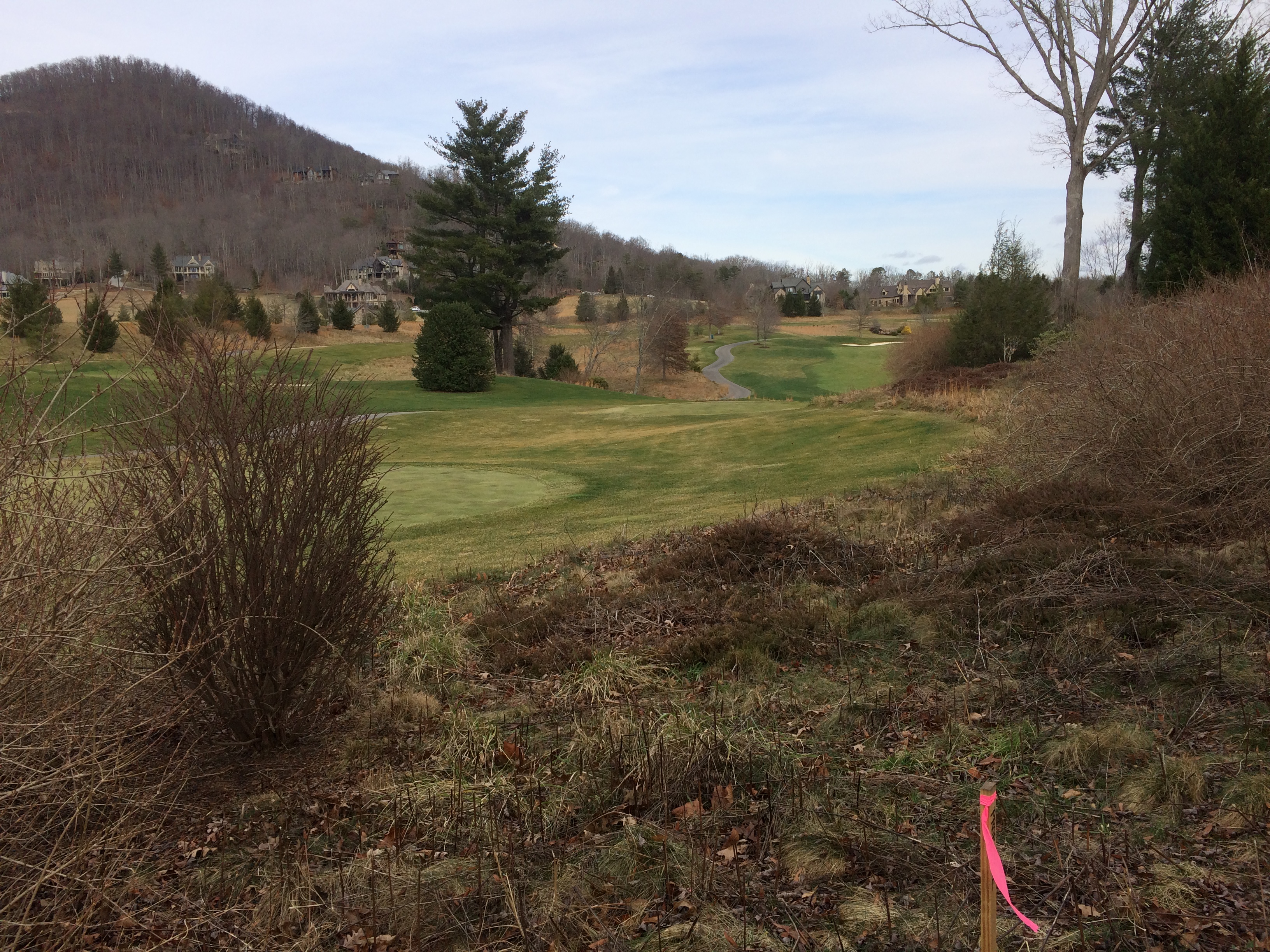Lot 3 view Northeast