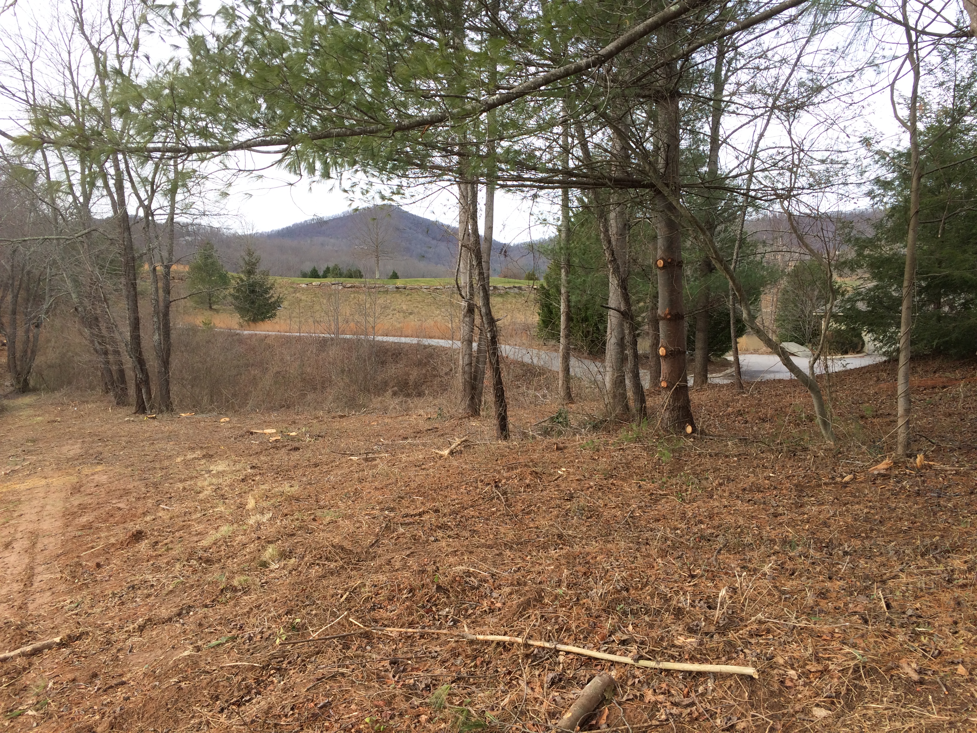 Lot 4 view Northwest