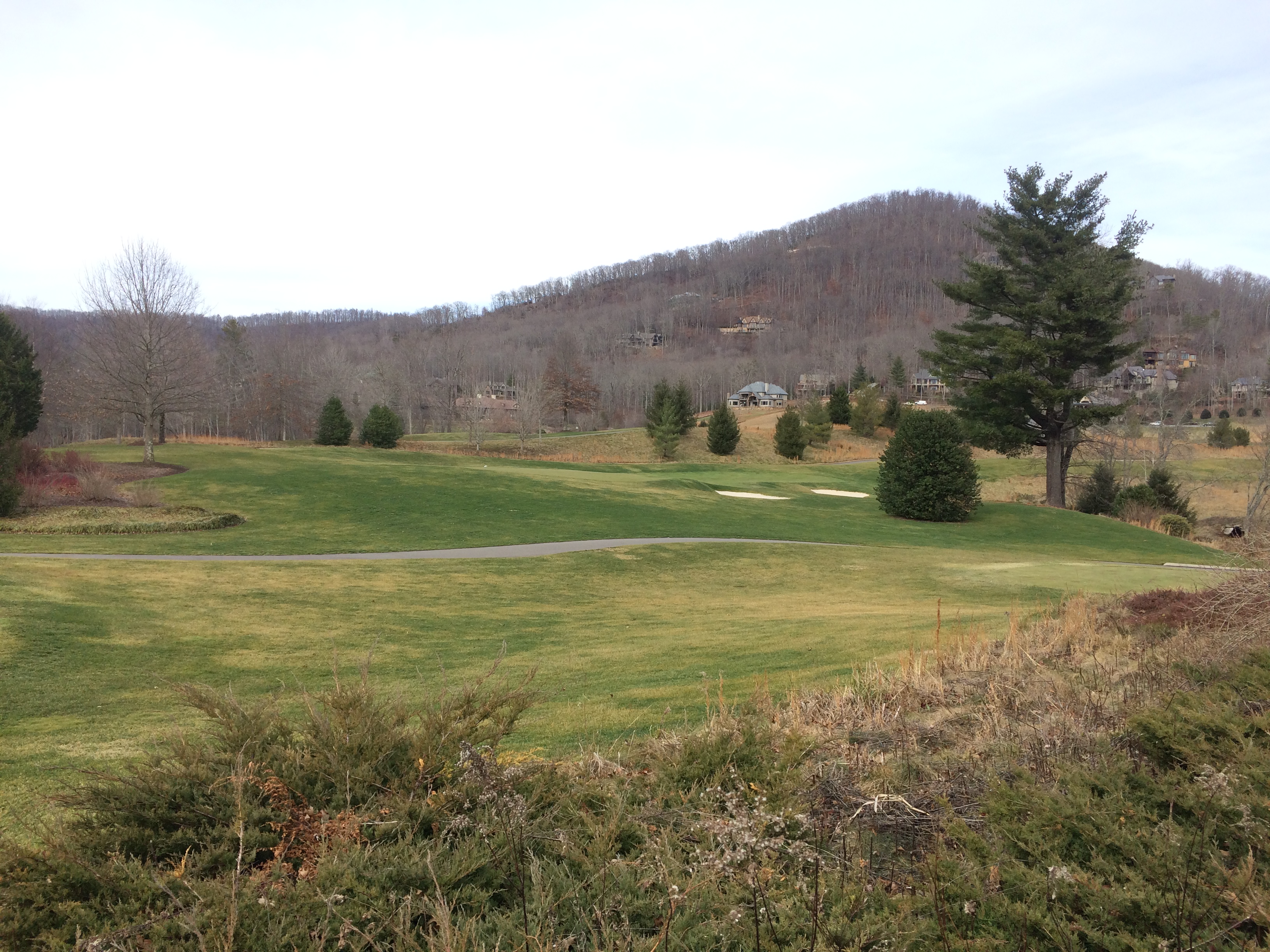 Lot 5 view north