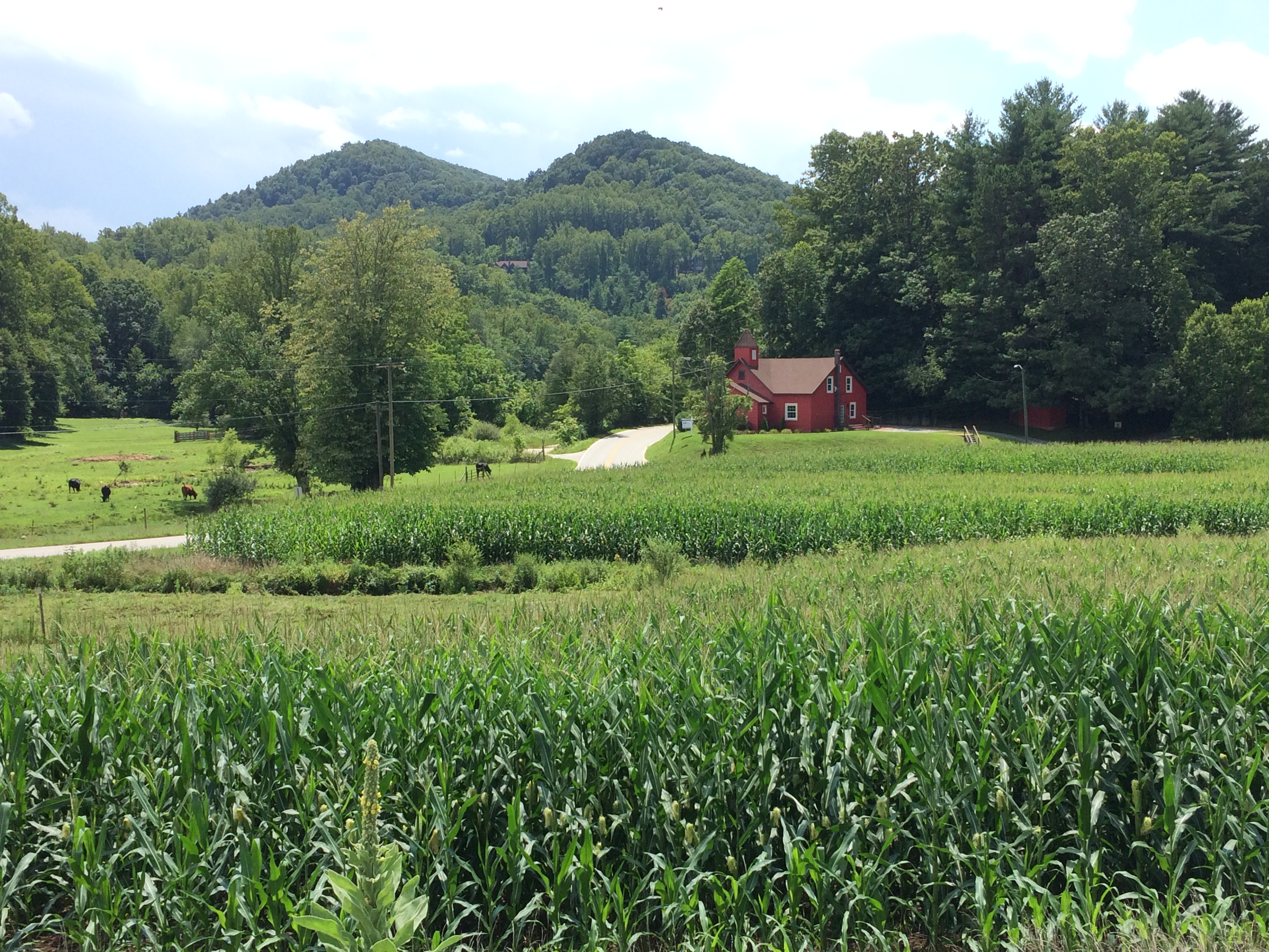 All lots view of farm and old church