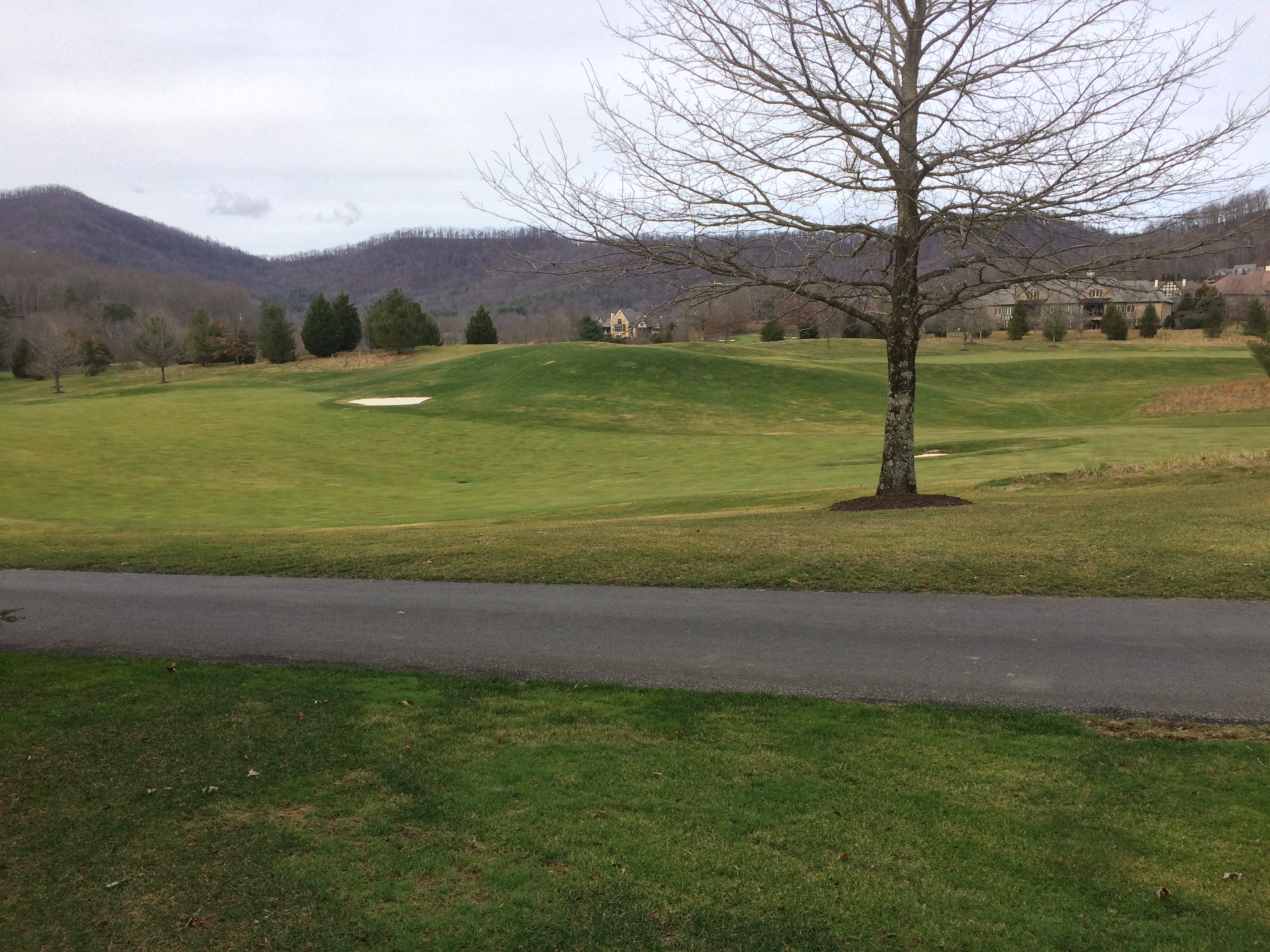 Lot 6 north
